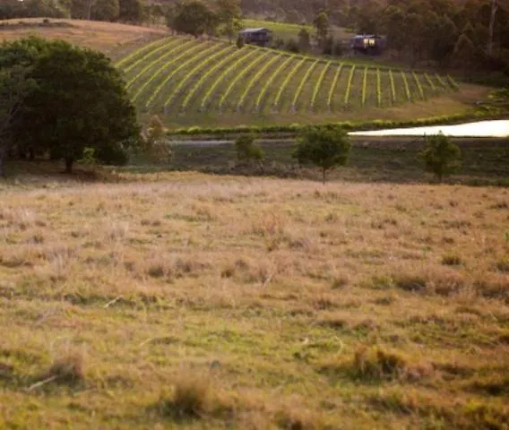 Oceanview Estate Vineyard Cottages Ocean View