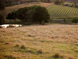 Prázdninový dům Oceanview Estate Vineyard Cottages Ocean View Austrálie